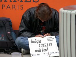 Чем опасны бобры для дачников? 