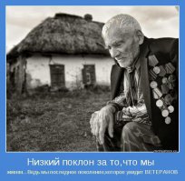 Достойное жильё у героя!