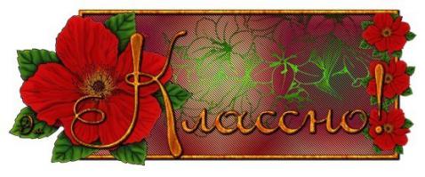 Фотоподборка за 11.11.2014