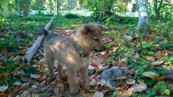 До кучи. 2 и 2,5 месяца.