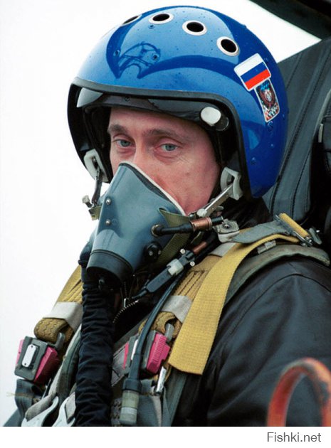 Максимум что мог сделать натовский пилот, так это под себя сходить. Да и за штурвалом СУ-27 был Путин, инфа 100%.