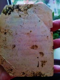 жалко что фото такого отвратительного качества .
но вот так вроде поярче.