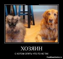 У меня кот с собакой в банде были) Жрачку крали)))
Ну и боянчик старый, но смешной