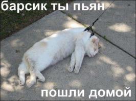 Гифки дня