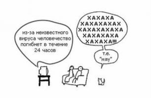 Кот гавкал,пока не спалился хозяином