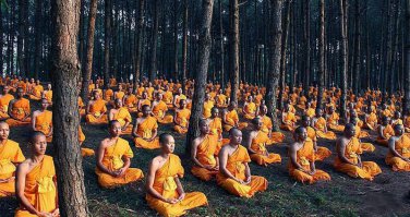 Сидят как , Опята!..)))