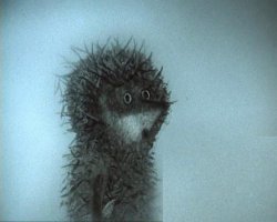 Фото сделал через стекло сварочной маски -получилось-Х.З. что...