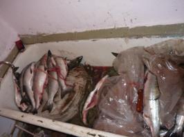 После рыбалки.