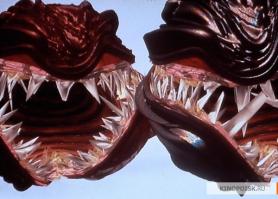 Так енто Лангольеры!!!