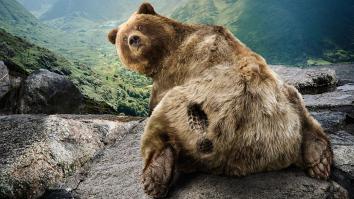 ну и кто тут глупый?