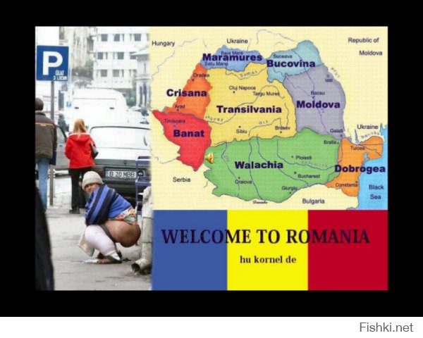  Комизм румынской действительности  