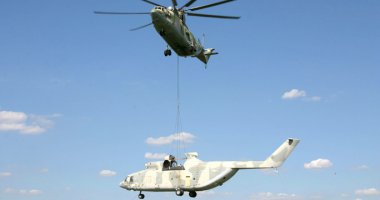 Самые странные грузы, которые перевозили по воздуху