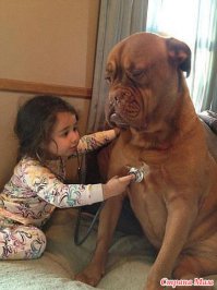 Ребенку подарили игрушечный набор доктора... У собаки началась новая жизнь с трудноизлечимыми болезнями