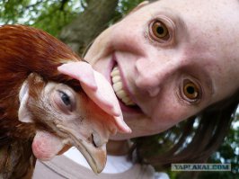 Веселые фотографии несуществующих в природе животных