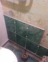 Как было йоршик то не показать? Боевой ёрш и окраска соответствующая - защитная. ;)