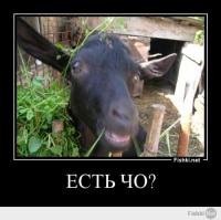 Отредактируйте мою фотку в редакторе 