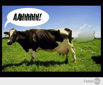 Налог на "пуканье", есть в Новой Зеландии. Обложили животноводство за выбросы парниковых газов.