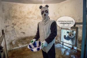 Выращивание панд в Китае