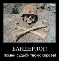 Киев позаботился об участниках АТО, выделив им под кладбище 80 га