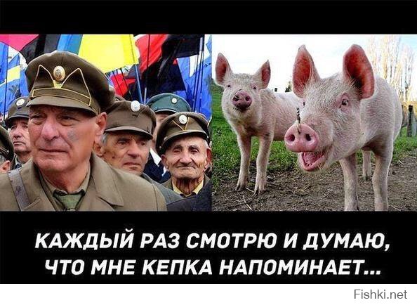 Солянка для Майдана. Часть 98