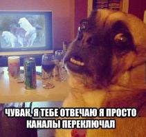 25 удивительных фактов о порно, про которые вы не знали