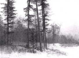 Красиво, да, за отражения плюсую, в остальном - хорошие техничные работы 3-4го курса художественой школы.
Не примите за грубость, но с учётом ваших коментариев выше, и для 22 лет графики и живописи вы высоковато задрали планку, я всё таки (работы не мои, я по скульптуре) наделся увидеть что то подобное: