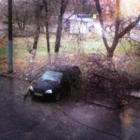 В Чебоксарах и Новочебоксарске 17 октября под тяжестью льда рухнуло много деревьев.