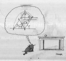 ну дык, они просто не говорят, что умнее нас..