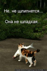 хЫщники...;)