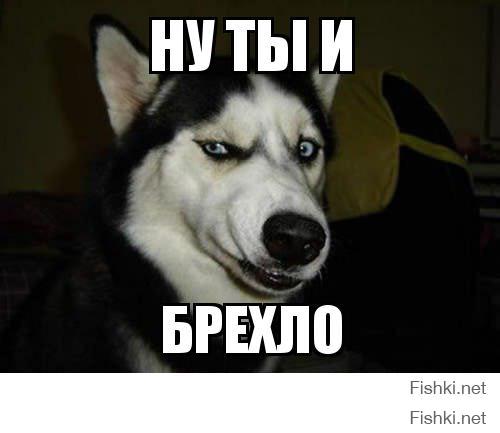 Писатель Сергей Лукьяненко