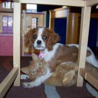 Дорогая это не то что ты подумала :)