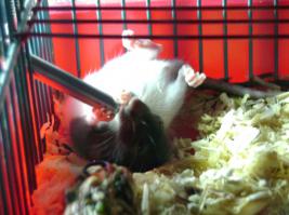 Даааа жалко очень