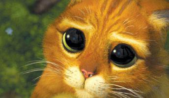 А жалко то как .