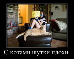 Дети и кошки