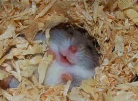 Интересная находка в машине