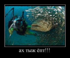 Царство животных