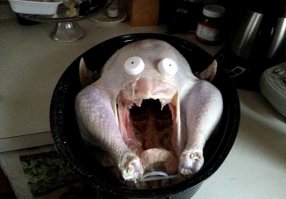 15 очень забавных выражений «лиц», которые сделают ваш день