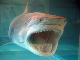 "И из этого-то и вышло то странное положение нашего времени, в котором весь наш мир загроможден произведениями, претендующими быть произведениями искусства, но отличающимися от ремесленных только тем, что они не только ни на что не нужны, но часто прямо вредны." Л.Н. Толстой

Эх, Лев Николаевич, Вы бы знали каким искусством загромождено наше время…