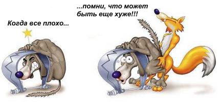 Коты, которые застряли 