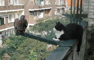 Они старались,как могли