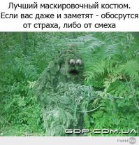 Фотопроект "Камуфляж" - найдите снайпера на фотографии 