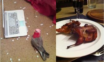 Тем, у кого день не задался 