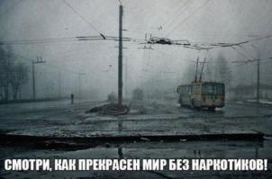 Фишкина солянка за 31.08.2014