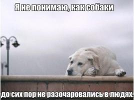 Фишкина солянка за 15.04.2014