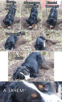 Фишкина солянка за 24.06.2014