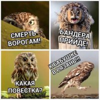 Современная жизнь в картинках