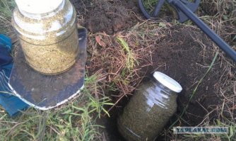 Давно было на Фишках :) перенек вместо клада нашел 2 банки ганджубаса :)
Один из коментариев:
При дальнейших поисках были найдены: три розовых слона, два говорящих крогодила и клуб анонимных мышей алкоголиков :)