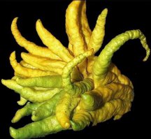 Вот такая загагулина бывает.
