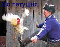 Subtle Dildo — блог для внимательных