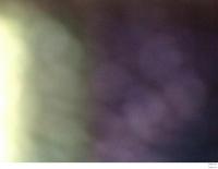 Шаловливый взгляд